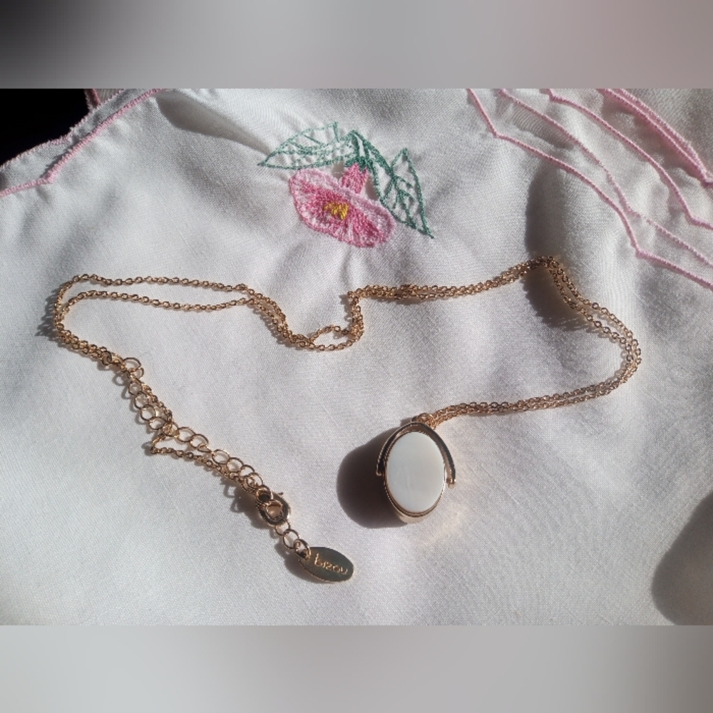 Bizou Gold Tone Necklace with Reversable Pendant